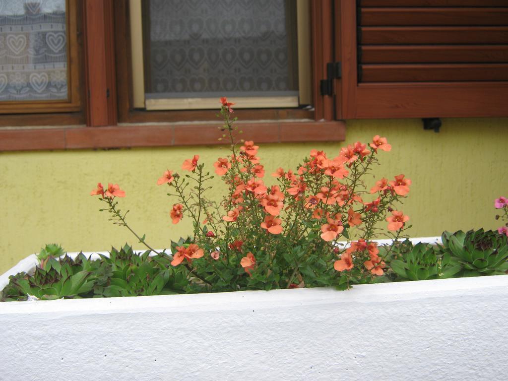 Apartment Meridiana