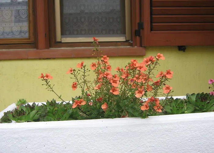 Apartment Meridiana